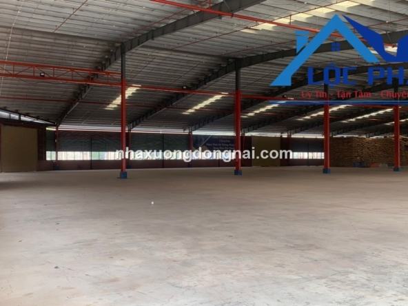 Cho thuê kho ngoại quan 10000m2 trong khu công nghiệp Tp Biên Hoà, Đồng Nai