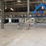 Cho thue nha xuong 12 000m2 cum cn thien tan vinh cuu dong nai (1)