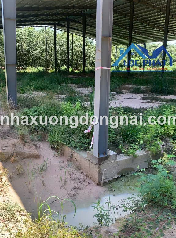 Ban Dat Nha Xuong 12900 Bau Bang Binh Duong (6)