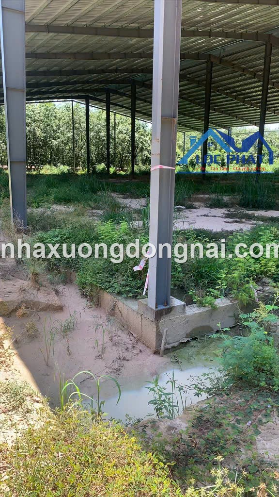 Ban Dat Nha Xuong 12900 Bau Bang Binh Duong (6)