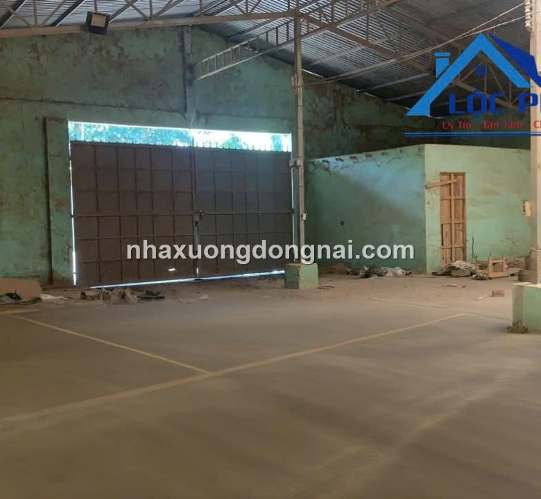 Ban Xuong Tan An Vinh Cuu 6000m2 (5)