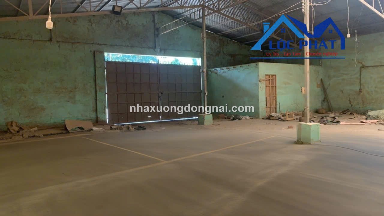 Ban Xuong Tan An Vinh Cuu 6000m2 (5)