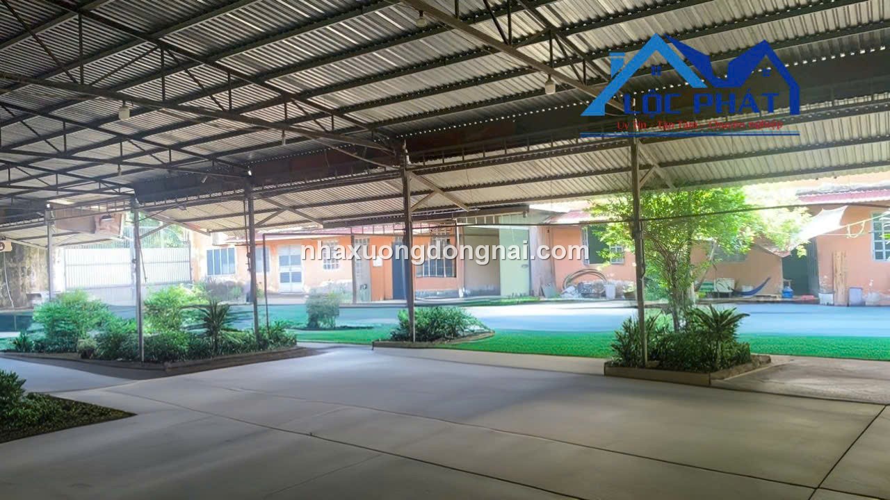 Ban Xuong Tan An Vinh Cuu 6000m2 (7)