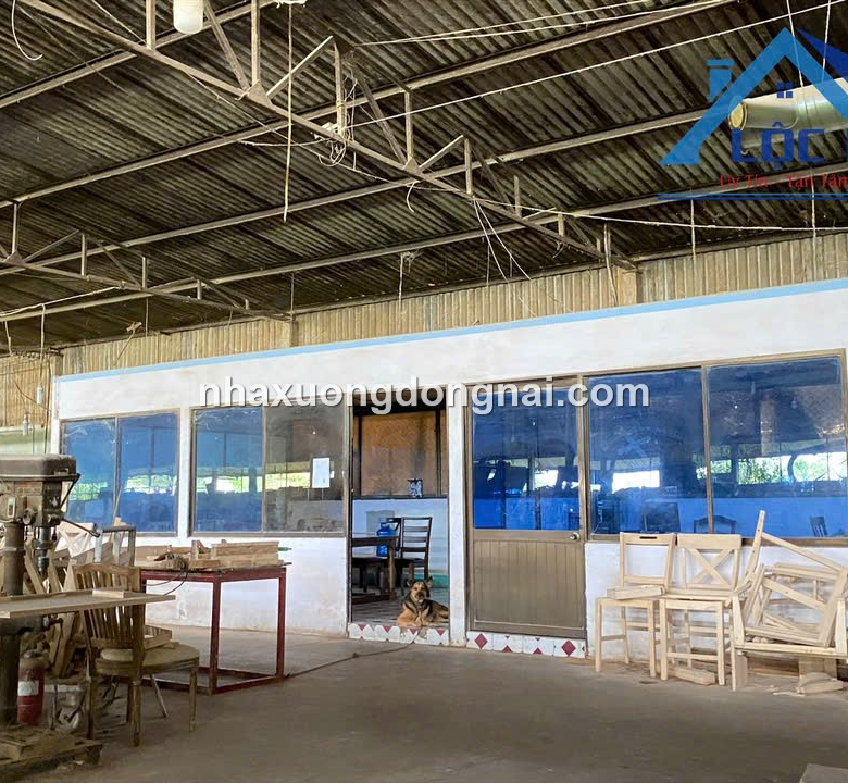 Cho Thue Nha Xuong 17000m2 Bien Hoa Dong Nai (1)