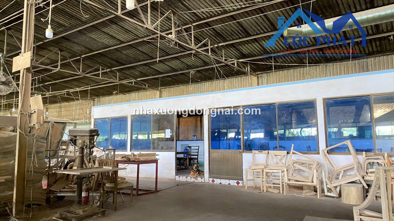 Cho Thue Nha Xuong 17000m2 Bien Hoa Dong Nai (1)