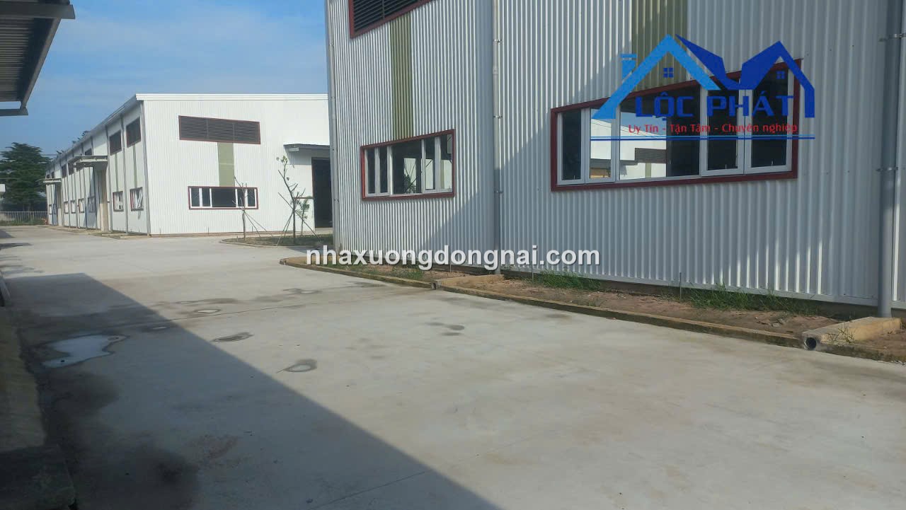 Cho Thue Nha Xuong 23000m2 Khu Cong Nghiep Ba Ria Vung Tau (7)