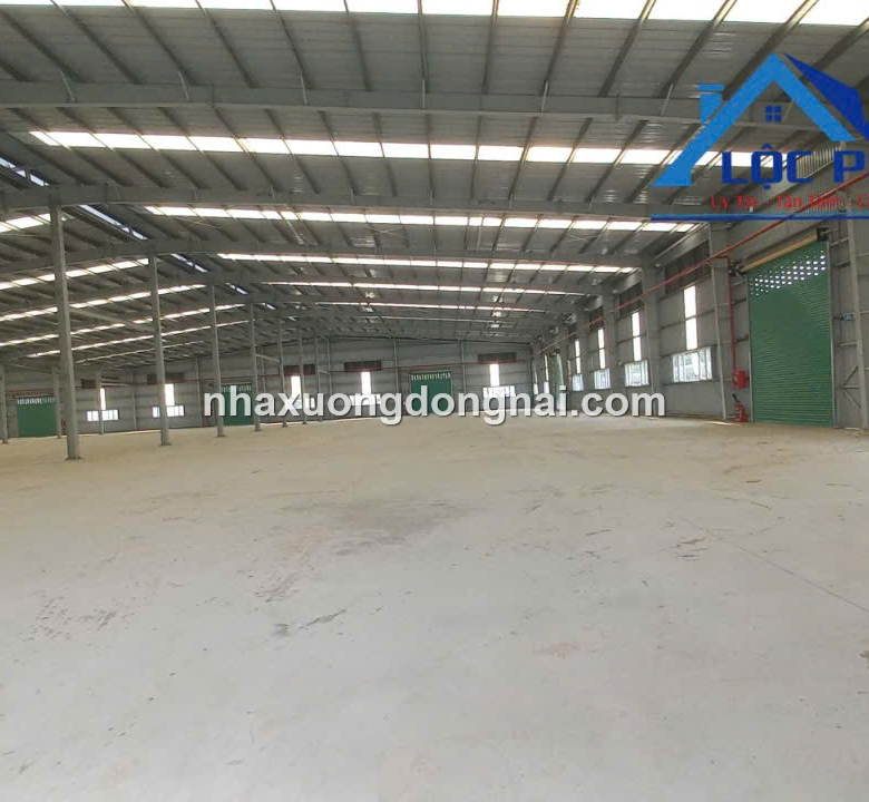 Cho Thue Nha Xuong 23000m2 Khu Cong Nghiep Ba Ria Vung Tau (8)