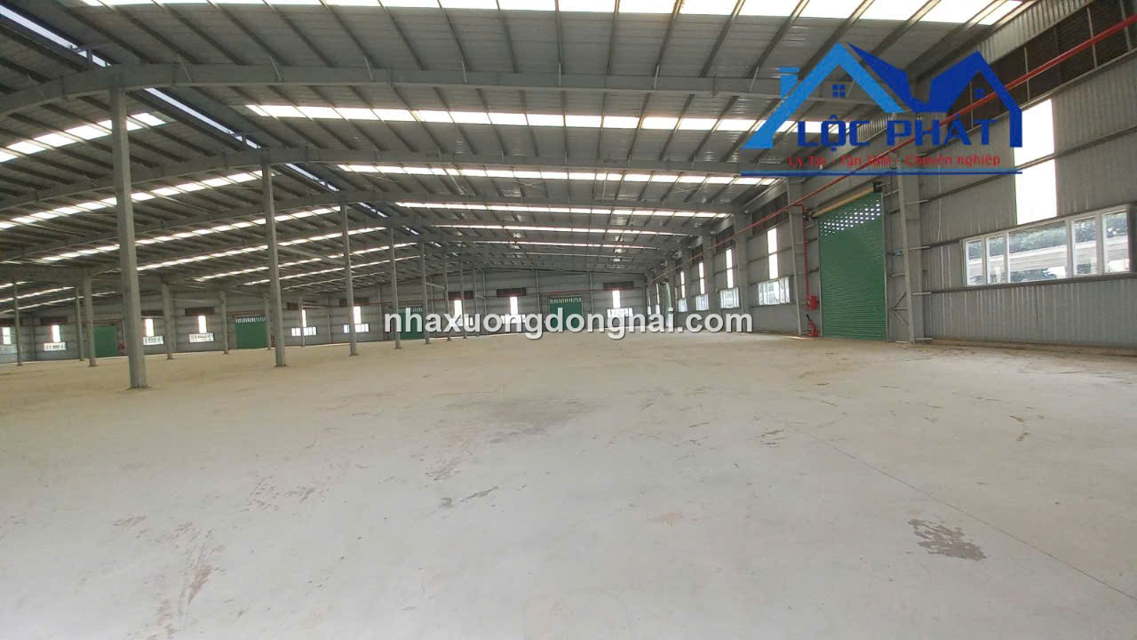 Cho Thue Nha Xuong 23000m2 Khu Cong Nghiep Ba Ria Vung Tau (8)