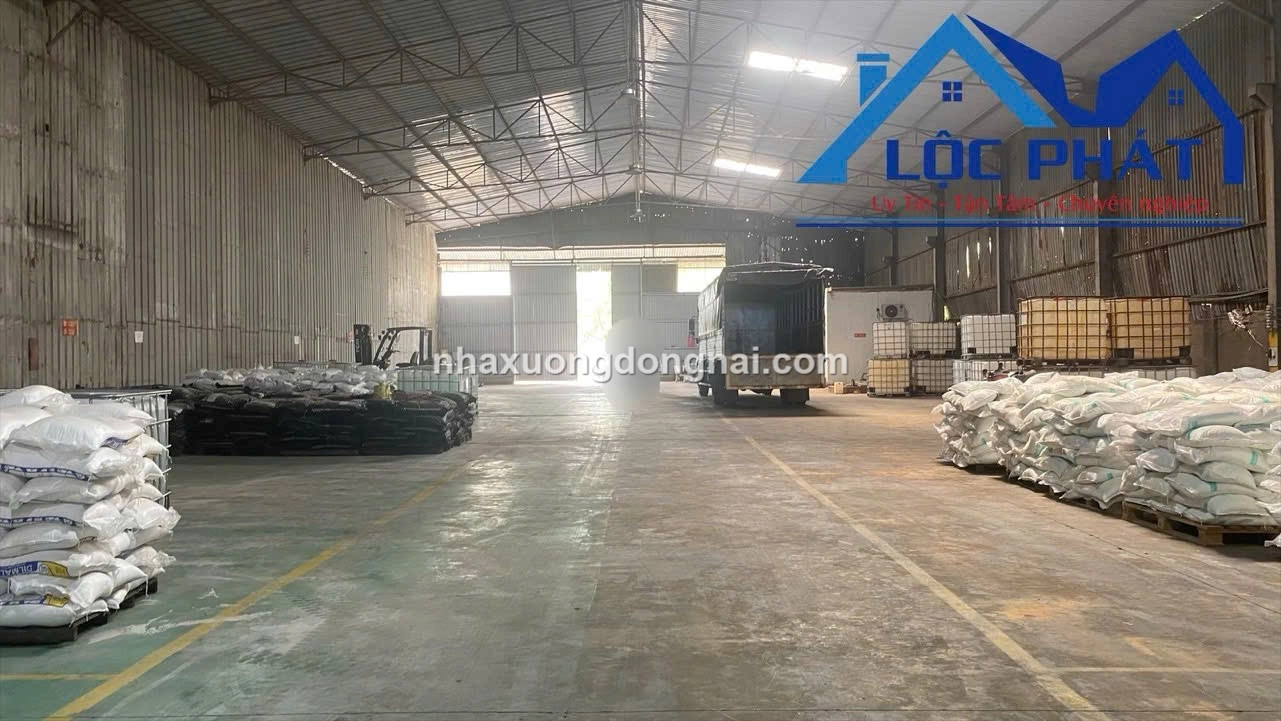 Z6334864946311 A449ab1882056c3b564e3628bc663b47